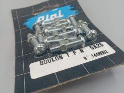 Algi - 10 boulons TFR - 5 x 25 -  fabriqué en France